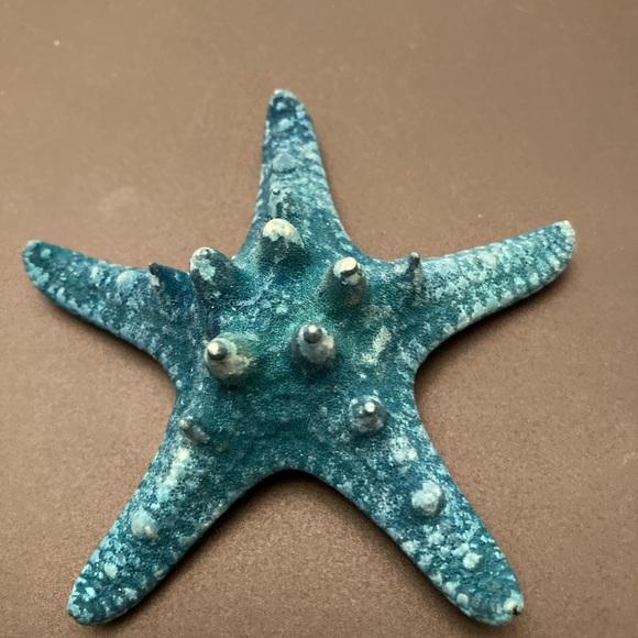 Blue Starfish Seashell - Picture 4 of 6